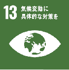 SDG13
